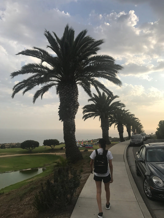 Fear of Failure distracts you from Faith
