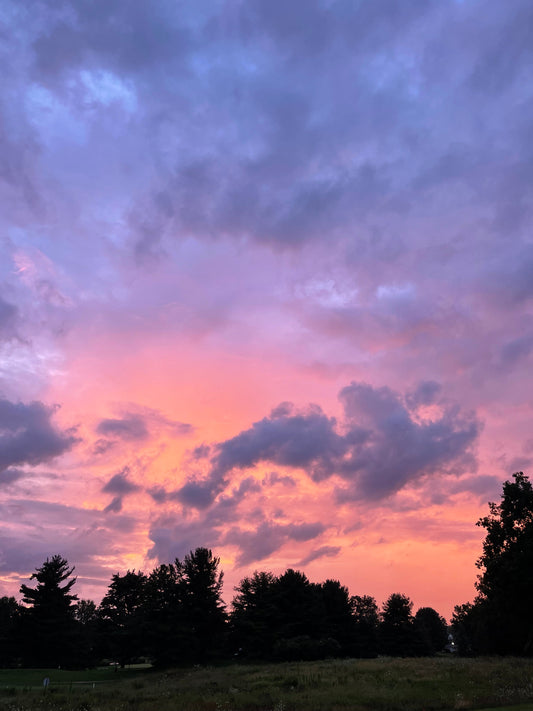 Maybe This Week is the One