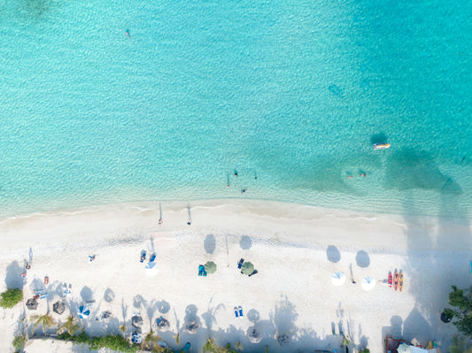 The Summer State of Mind: Wellness Beyond the Routine